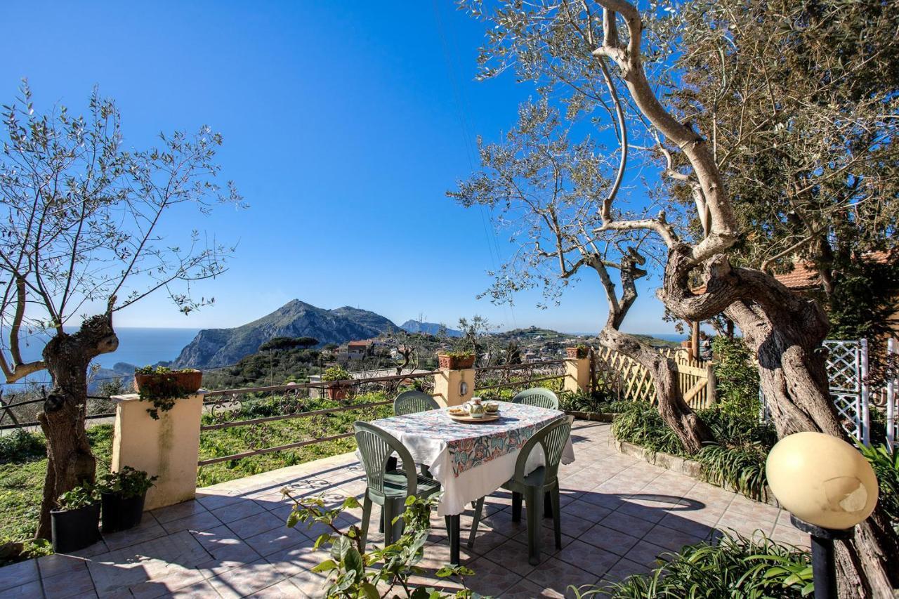 Il Pioppo - Country House Sea View Масса-Лубренсе Екстер'єр фото