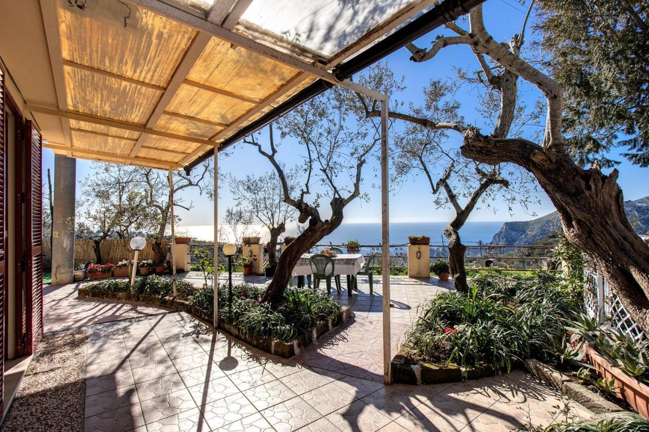 Il Pioppo - Country House Sea View Масса-Лубренсе Екстер'єр фото