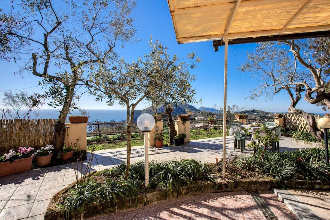 Il Pioppo - Country House Sea View Масса-Лубренсе Екстер'єр фото