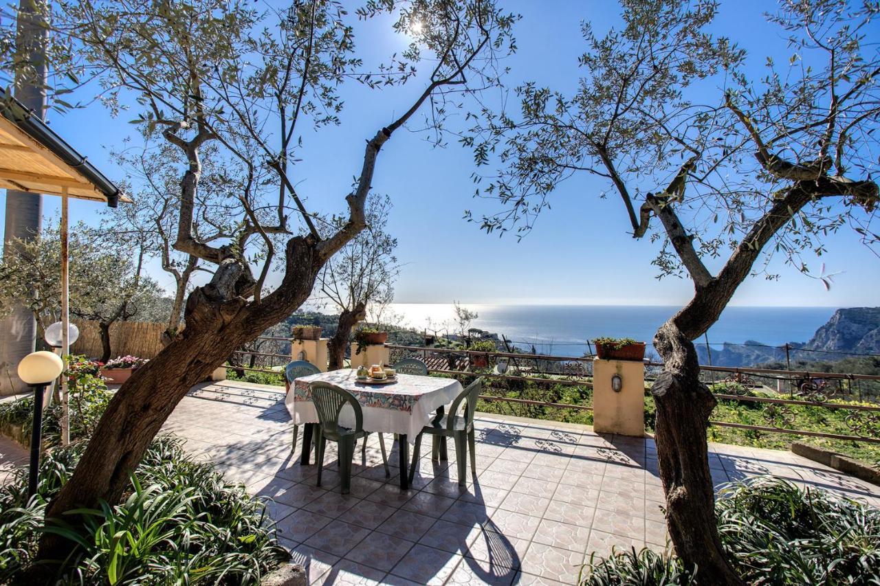 Il Pioppo - Country House Sea View Масса-Лубренсе Екстер'єр фото